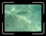 Tortola 260 * 2048 x 1536 * (1.45MB)